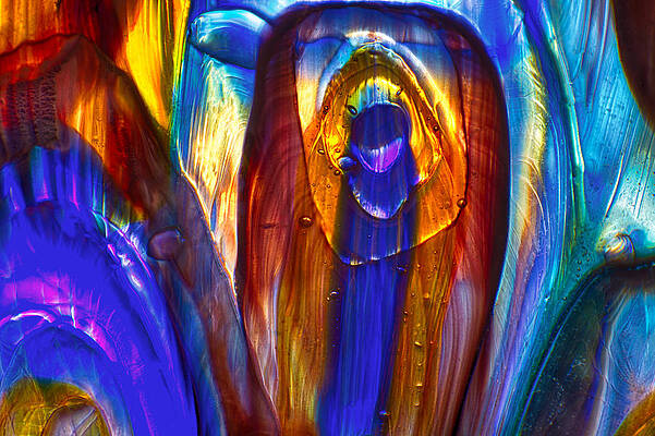 Wall Art featuring the photograph Underwater Excavator by Omaste Witkowski