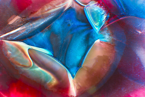 Wall Art featuring the photograph Universal Creation by Omaste Witkowski