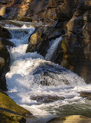North Carolina Wall Art featuring the photograph Unnamed NC Waterfall 1 by Flees Photos