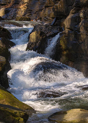 North Carolina Wall Art featuring the photograph Unnamed NC Waterfall 2 by Flees Photos