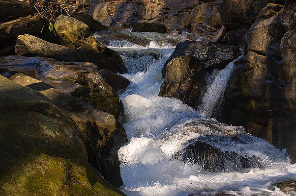 North Carolina Wall Art featuring the photograph Unnamed NC Waterfall by Flees Photos