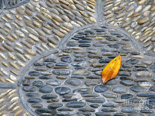 Wall Art featuring the photograph Shanghai Tranquility by Rick Locke - Out of the Corner of My Eye