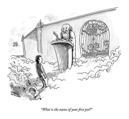 Name Wall Art featuring the drawing What Is The Name Of Your First Pet? by Shannon Wheeler