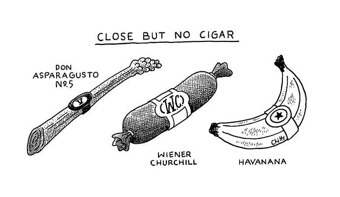 Close But No Cigar Humor Wall Art