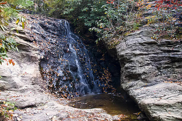 North Carolina Wall Art featuring the photograph Upper Cascade Falls 2 by Flees Photos