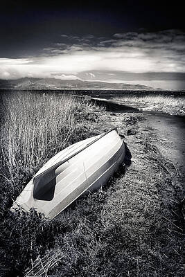 Wall Art featuring the photograph Upside Down T Lough Gill by Mark Callanan