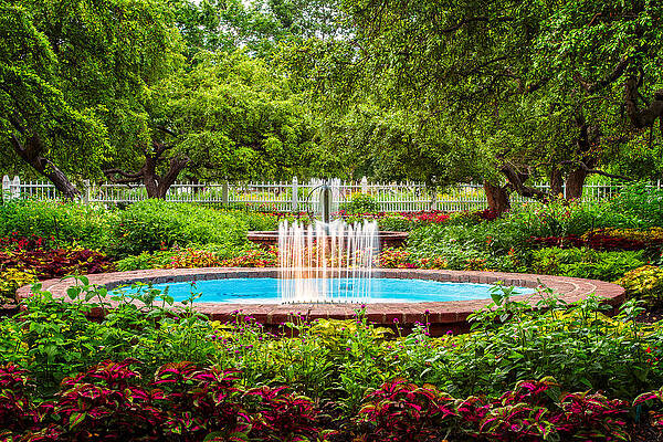Wall Art featuring the photograph Verdant Garden by Jeff Sinon