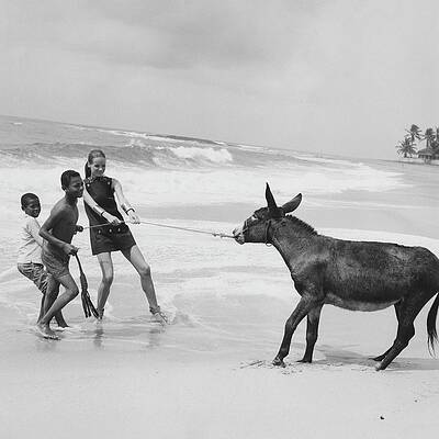 Struggle with a Donkey on the Beach Photograph