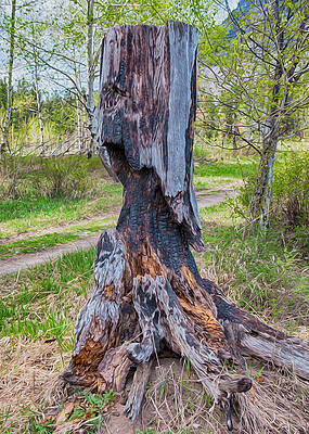 Wall Art featuring the painting Vibrant And Burnt Out by Omaste Witkowski