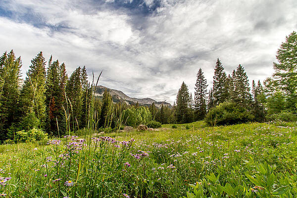 Nature Photograph - View Of West Beckwith Peak by Jeff Stoddart