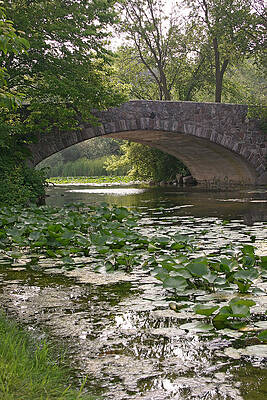 Photograph - Vilas Bridge In Madison Wisconsin by Natural Focal Point Photography