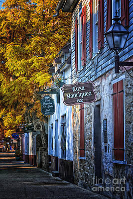 Wall Art featuring the photograph Village Streets by Mary Lou Chmura