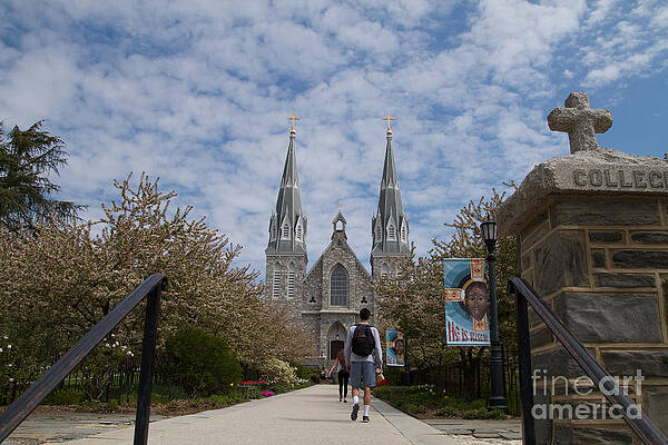 Villanova University Photograph - Villanova College by William Norton