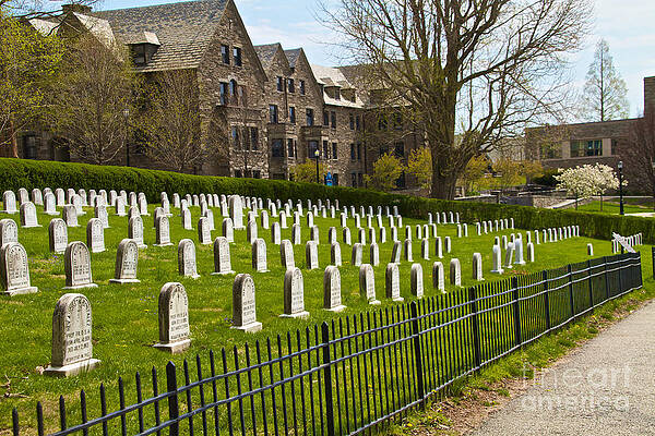 Villanova University Photograph - Villanova Underground by William Norton