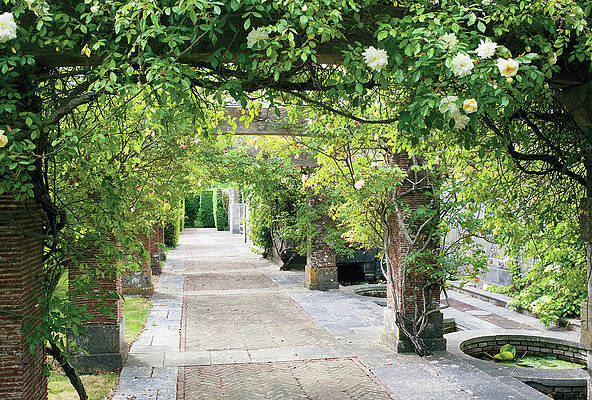 Growth Wall Art featuring the photograph Vine Covered Columns And  Garden Path by Tim Beddow