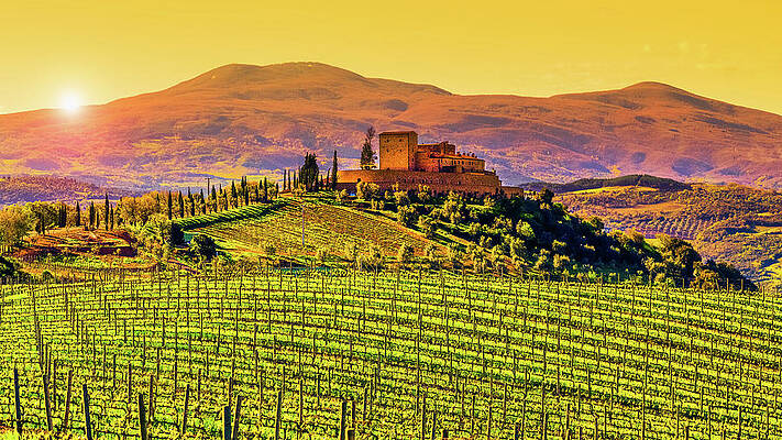 Tuscan Vineyard at Sunset Wall Art