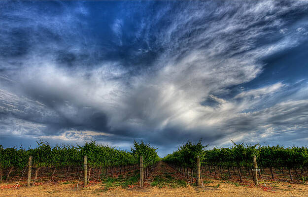 Sky Photograph - Vineyard Storm by Beth Sargent