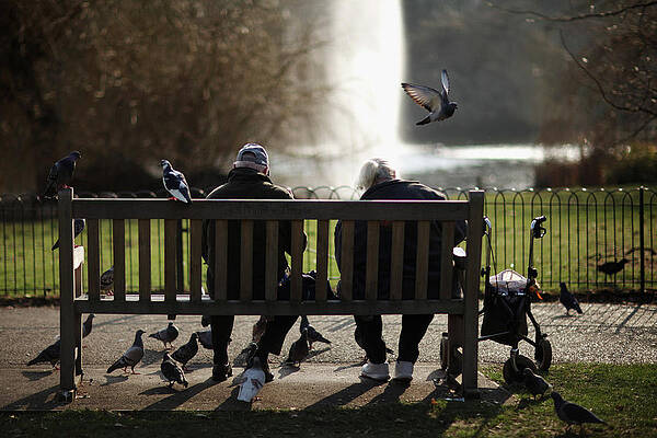 Wall Art featuring the photograph Visitors To London Enjoy The Capitals by Dan Kitwood