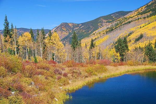Colorado Photograph - Vivid Colors Of Autumn - Colorado Landscape by Cascade Colors