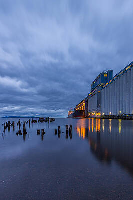 Wall Art featuring the photograph Waiting For Grain by Linda Ryma