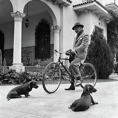 Home Photograph - Waldemar Schroder On A Bicycle With Two Dogs by Luis Lemus