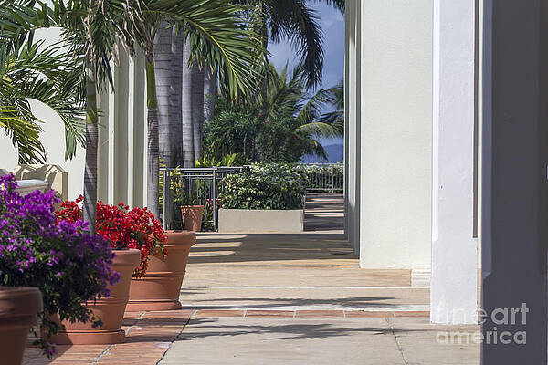 Puerto Rico Wall Art featuring the photograph Walkway To Paradise by Mary Lou Chmura