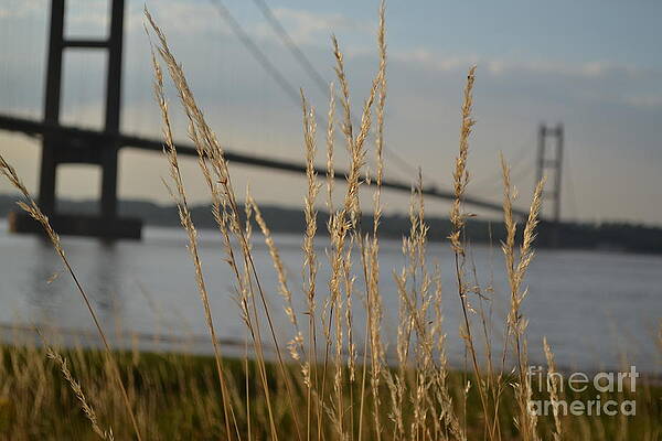 Photograph - Wasting Time By The Humber by Scott Lyons