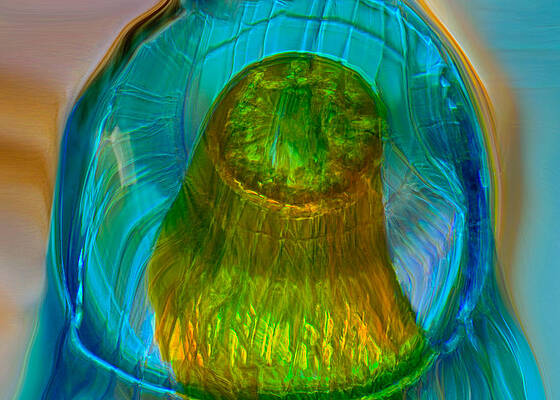 Wall Art featuring the photograph Water Realm by Omaste Witkowski