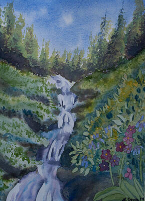 Wilderness Painting - Watercolor - Colorado Mountain Stream by Cascade Colors