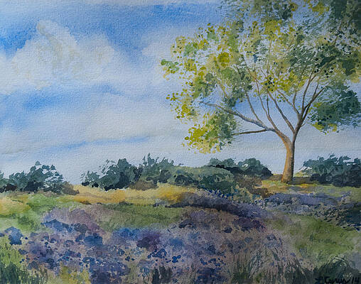 Painting - Watercolor - Tree And Meadow by Cascade Colors