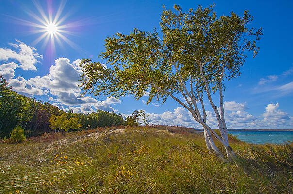Michigan Wall Art featuring the photograph October Sunshine By The Lake by Owen Weber