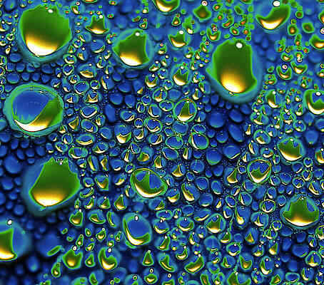 wax holds up by Joe Schofield
