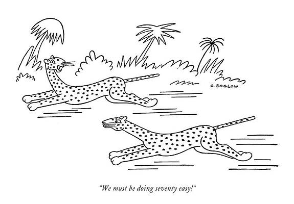 Anniversary Wall Art featuring the drawing We Must Be Doing Seventy Easy! by Otto Soglow