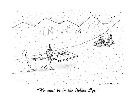 Skiing Dog Delivering Pizza Wall Art