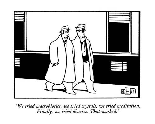 Meditation Wall Art featuring the drawing We Tried Macrobiotics by Bruce Eric Kaplan