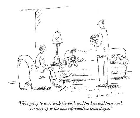 Bee Wall Art featuring the drawing We're Going To Start With The Birds And The Bees by Barbara Smaller