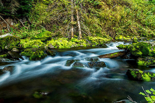 Nature Photograph - West Maroon Creek by Jeff Stoddart