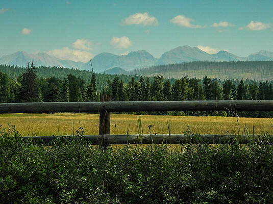 Tree Photograph - West Montana View-2 by Carla E