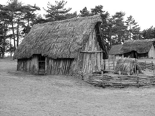 Historical Wall Art featuring the photograph West Stow Anglo Saxon House by Richard Reeve