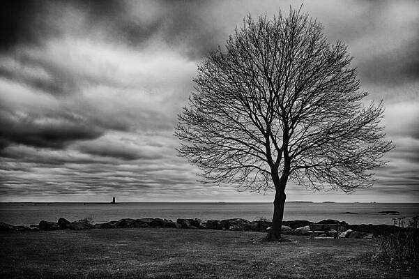 Sky Wall Art featuring the photograph Whaleback Maple Tree Stormy Sky by Jeff Sinon