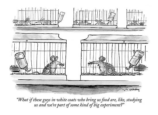 Lab Wall Art featuring the drawing What If These Guys In White Coats Who Bring by Mike Twohy