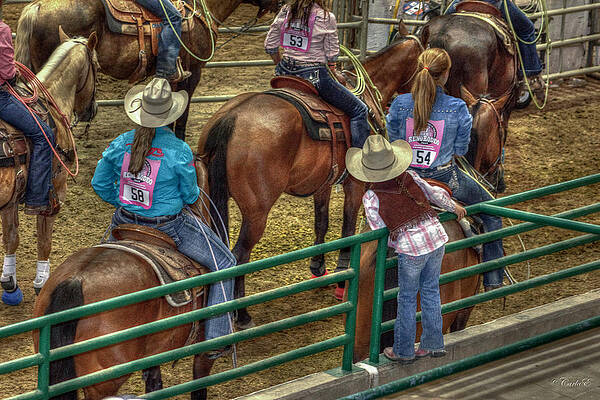 Horse Wall Art featuring the photograph When I Grow Up by Carla E
