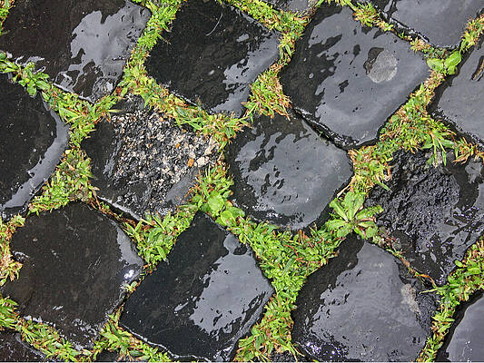 Wall Art featuring the photograph Where Centurions Trod by Rick Locke - Out of the Corner of My Eye