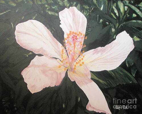 Painting - White Hibiscus In Acrylic by Laura Toth