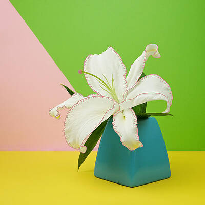 White Lily in Blue Vase Wall Art