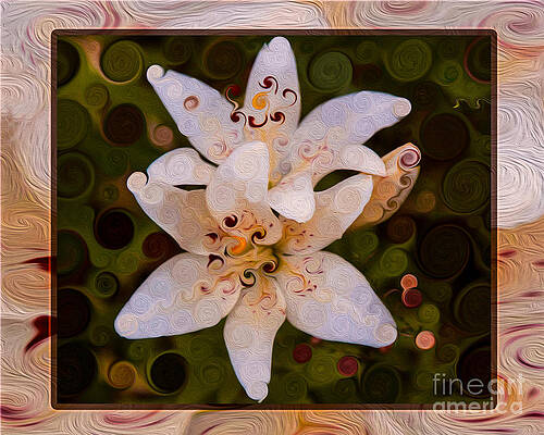 Summer Painting - White Lily Opening To The Sun Abstract Flower Art by Omaste Witkowski