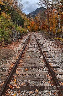 Mountain Wall Art featuring the photograph White Mountains Railroad Tracks by Adam Jewell