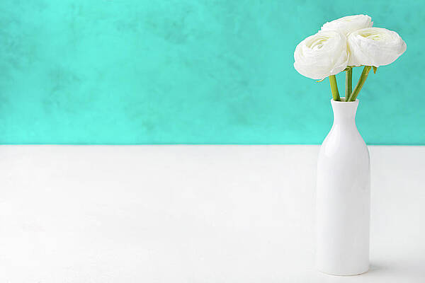 Wall Art featuring the photograph White Ranunculus Flowers In A Ceramic by Annapustynnikova