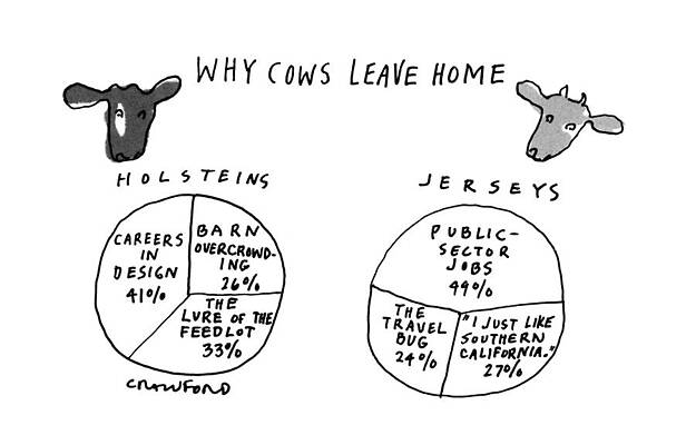 Cow Wall Art featuring the drawing Why Cows Leave Home by Michael Crawford