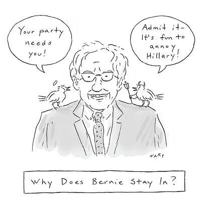 Wildlife Drawing - Why Does Bernie Stay by Kim Warp